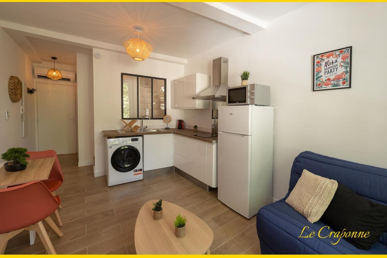 Le Craponne - Magnifique Appartement Cours Principal Plein Centre Avec Parking Салон-де-Прованс Экстерьер фото